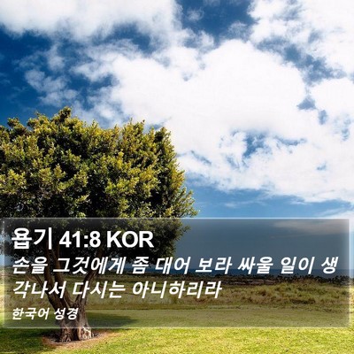 욥기 41:8 KOR Bible Verse Image