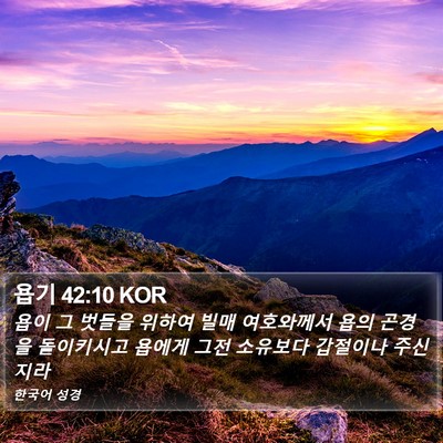 욥기 42:10 KOR Bible Verse Image