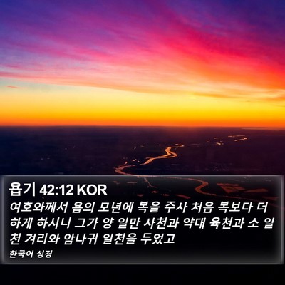 욥기 42:12 KOR Bible Verse Image