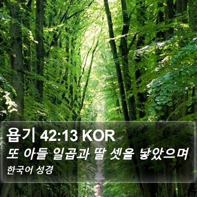 욥기 42:13 KOR Bible Verse Image