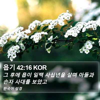 욥기 42:16 KOR Bible Verse Image