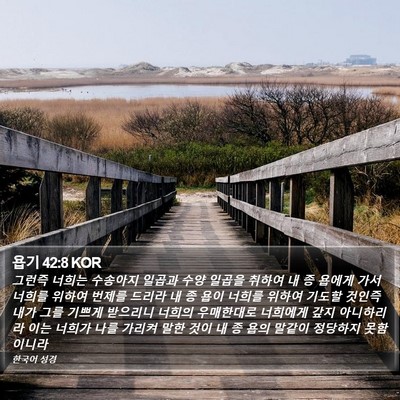 욥기 42:8 KOR Bible Verse Image