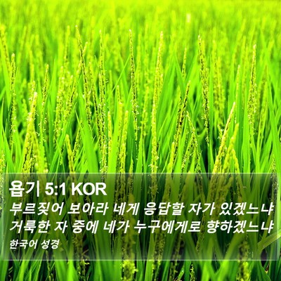 욥기 5:1 KOR Bible Verse Image