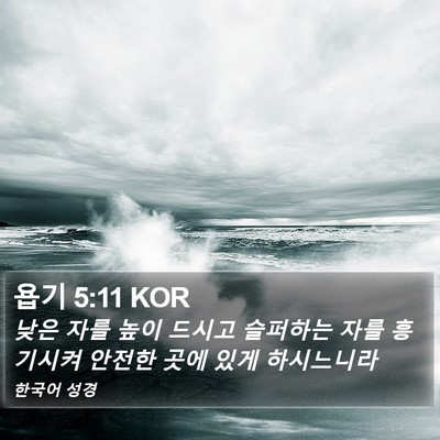 욥기 5:11 KOR Bible Verse Image