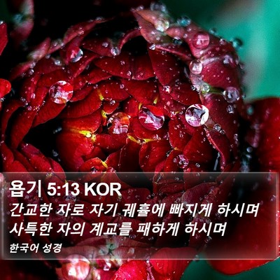 욥기 5:13 KOR Bible Verse Image