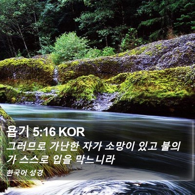 욥기 5:16 KOR Bible Verse Image