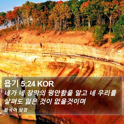 욥기 5:24 KOR Bible Verse Image