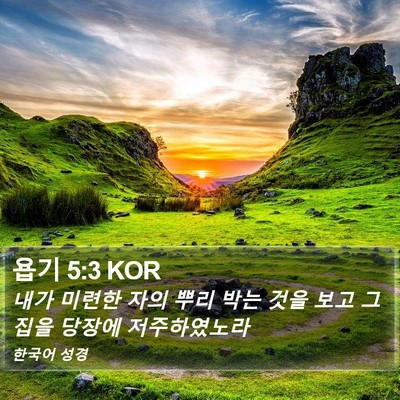 욥기 5:3 KOR Bible Verse Image