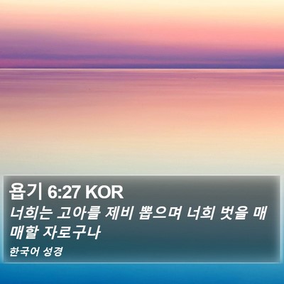 욥기 6:27 KOR Bible Verse Image