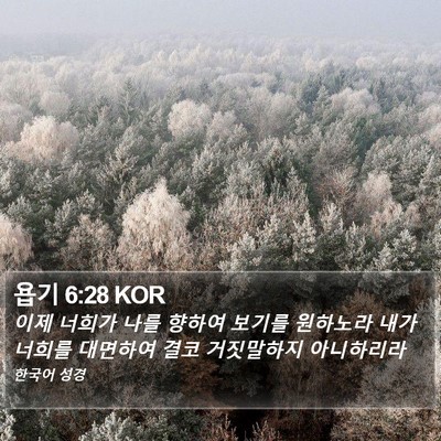 욥기 6:28 KOR Bible Verse Image
