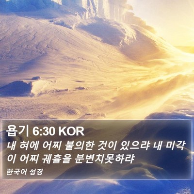 욥기 6:30 KOR Bible Verse Image