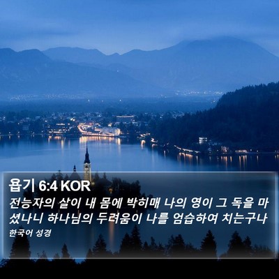 욥기 6:4 KOR Bible Verse Image