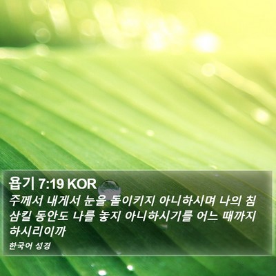 욥기 7:19 KOR Bible Verse Image