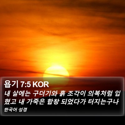 욥기 7:5 KOR Bible Verse Image