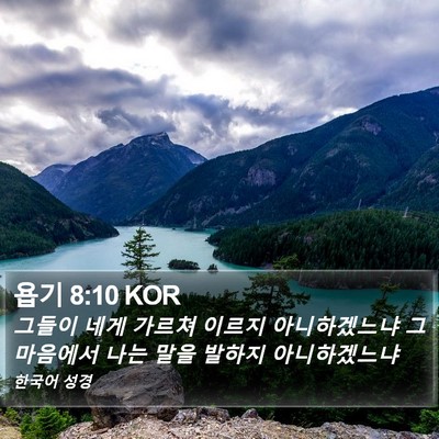 욥기 8:10 KOR Bible Verse Image