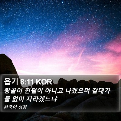 욥기 8:11 KOR Bible Verse Image
