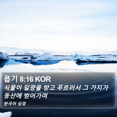 욥기 8:16 KOR Bible Verse Image