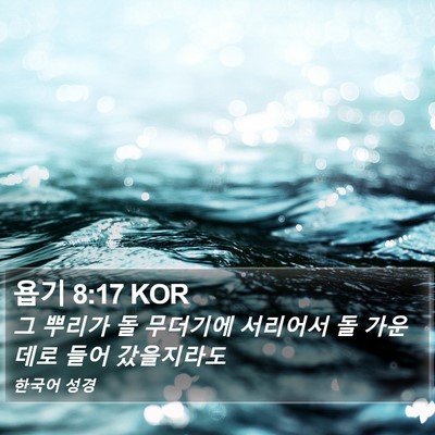 욥기 8:17 KOR Bible Verse Image