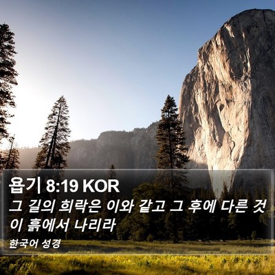 욥기 8:19 KOR Bible Verse Image