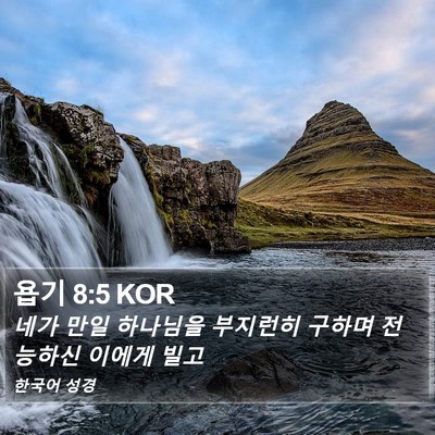 욥기 8:5 KOR Bible Verse Image