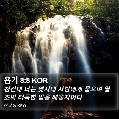 욥기 8:8 KOR Bible Verse Image