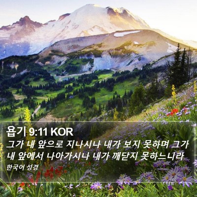 욥기 9:11 KOR Bible Verse Image