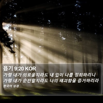 욥기 9:20 KOR Bible Verse Image