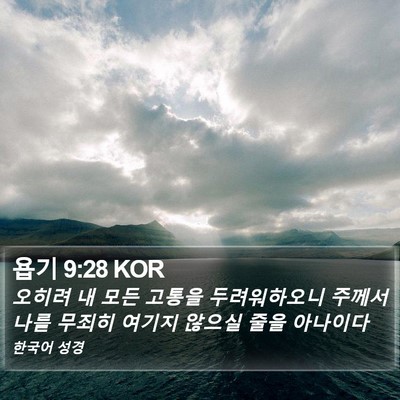 욥기 9:28 KOR Bible Verse Image