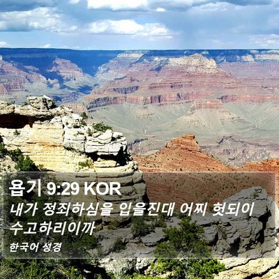 욥기 9:29 KOR Bible Verse Image