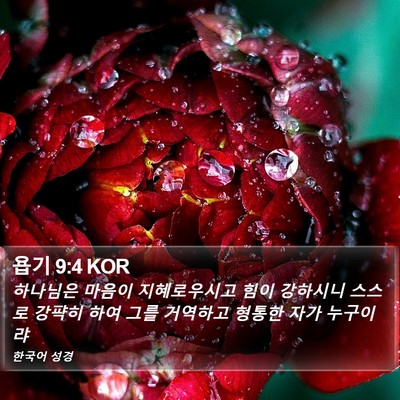 욥기 9:4 KOR Bible Verse Image