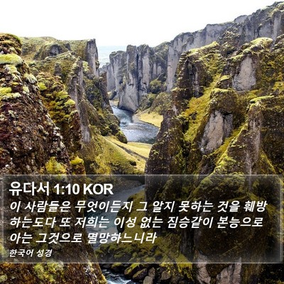 유다서 1:10 KOR Bible Verse Image