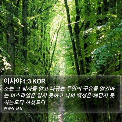 이사야 1:3 KOR Bible Verse Image