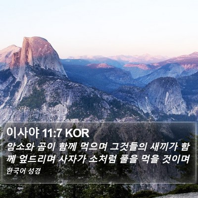 이사야 11:7 KOR Bible Verse Image