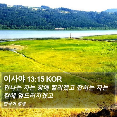 이사야 13:15 KOR Bible Verse Image