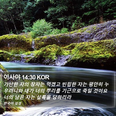 이사야 14:30 KOR Bible Verse Image
