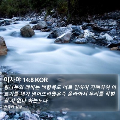이사야 14:8 KOR Bible Verse Image
