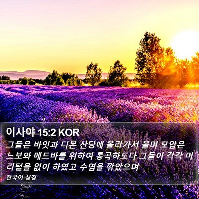 이사야 15:2 KOR Bible Verse Image