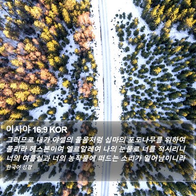 이사야 16:9 KOR Bible Verse Image