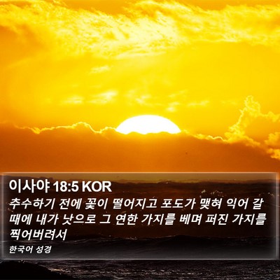 이사야 18:5 KOR Bible Verse Image