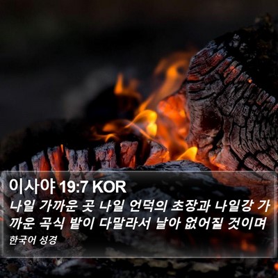이사야 19:7 KOR Bible Verse Image