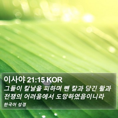 이사야 21:15 KOR Bible Verse Image