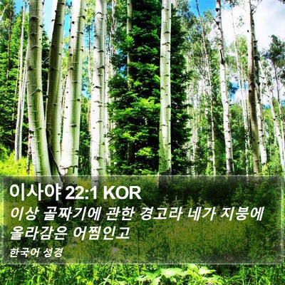 이사야 22:1 KOR Bible Verse Image