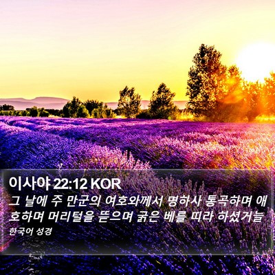 이사야 22:12 KOR Bible Verse Image
