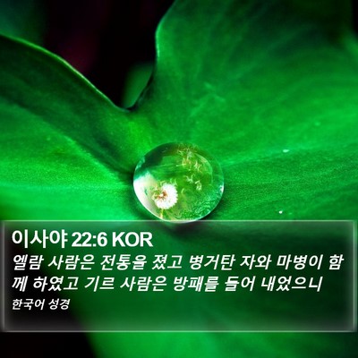 이사야 22:6 KOR Bible Verse Image