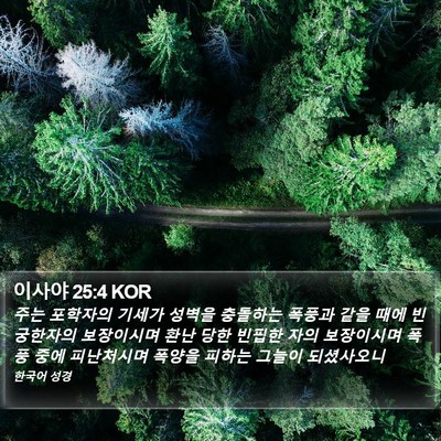 이사야 25:4 KOR Bible Verse Image