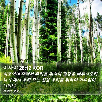 이사야 26:12 KOR Bible Verse Image