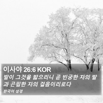 이사야 26:6 KOR Bible Verse Image