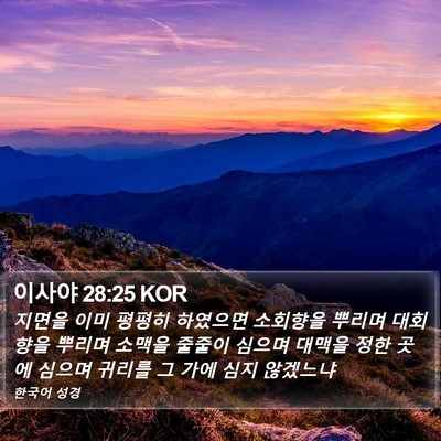이사야 28:25 KOR Bible Verse Image
