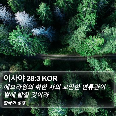 이사야 28:3 KOR Bible Verse Image