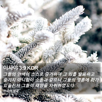이사야 3:9 KOR Bible Verse Image